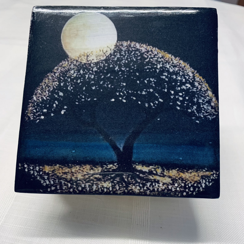 Joyero Luna