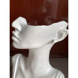 Pendientes Mer