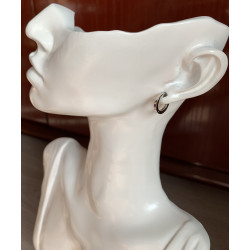 Pendientes Aro