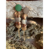 Pendientes Olímpicos